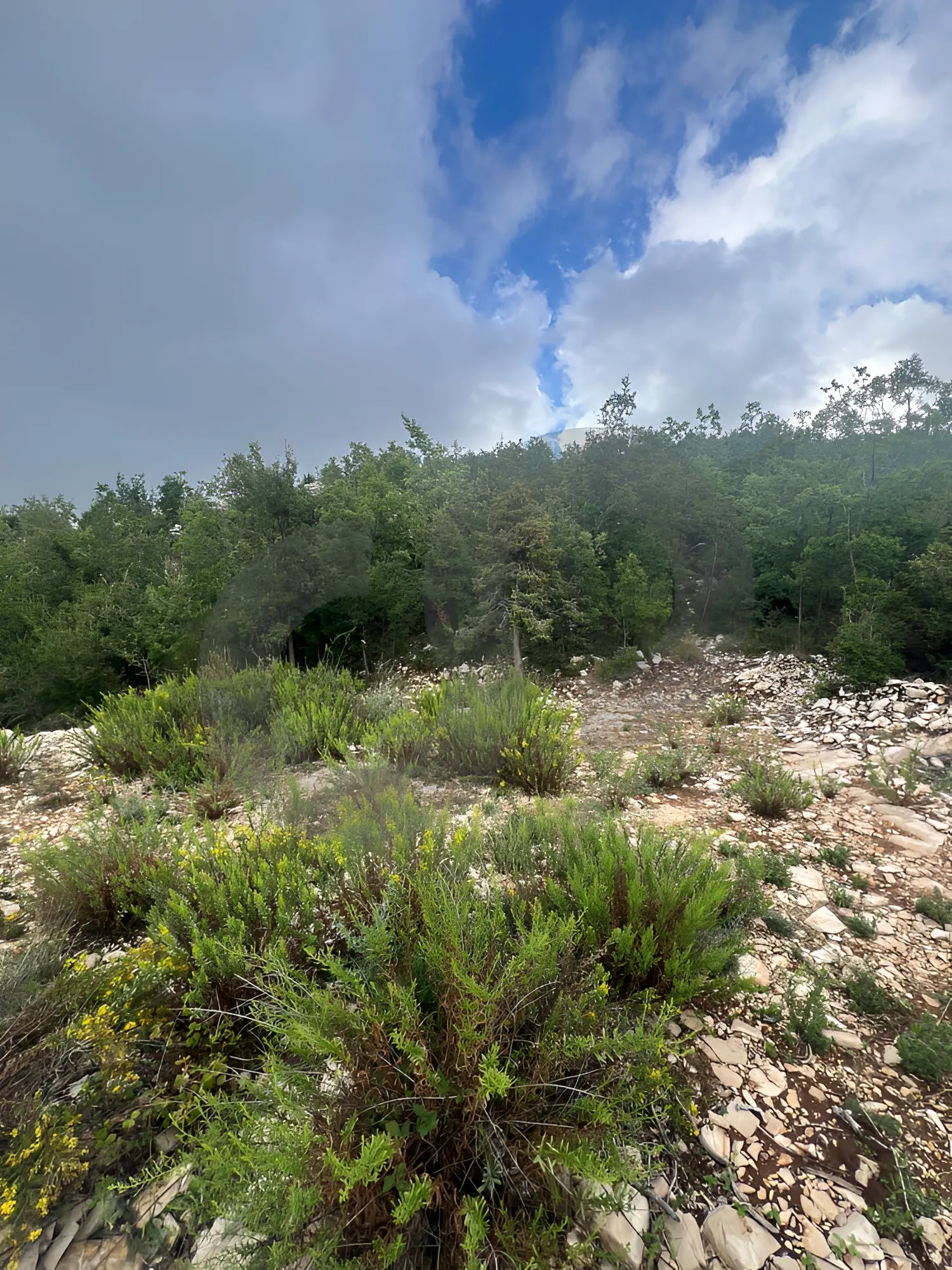 Land for Sale in Mechmech