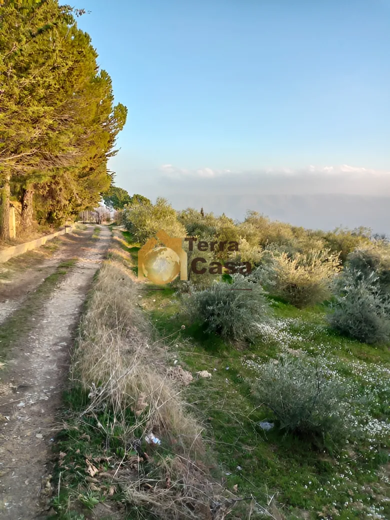 Land for Sale in Zahle