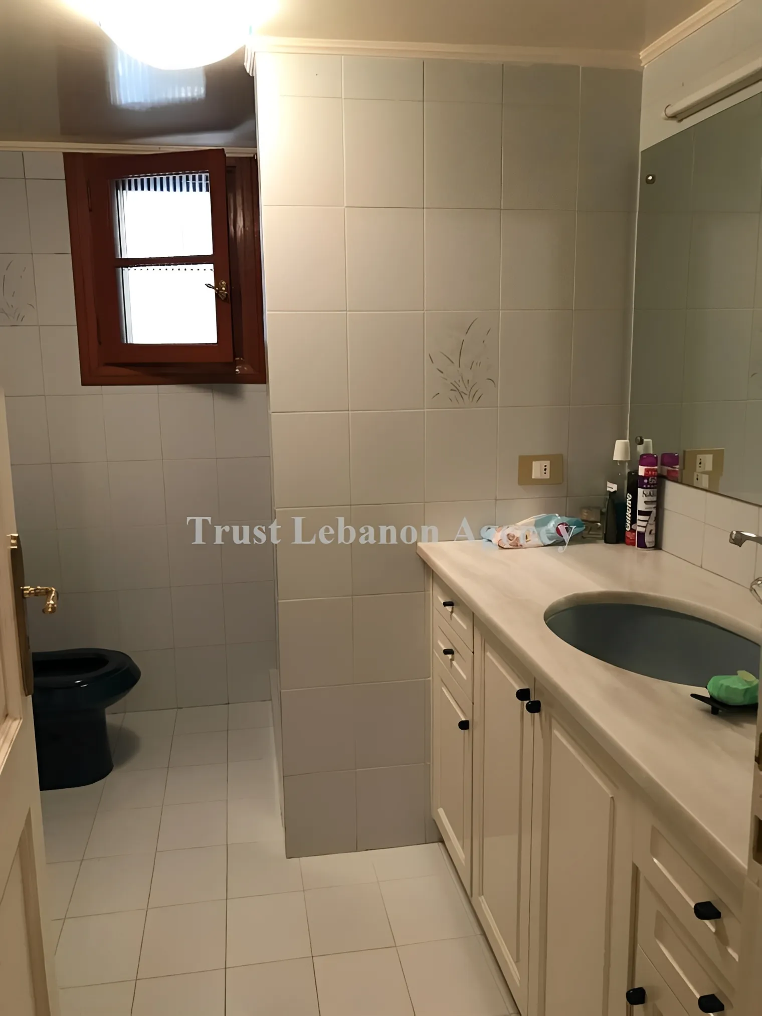 Villa for Sale in Metn Baabdat Lebanon