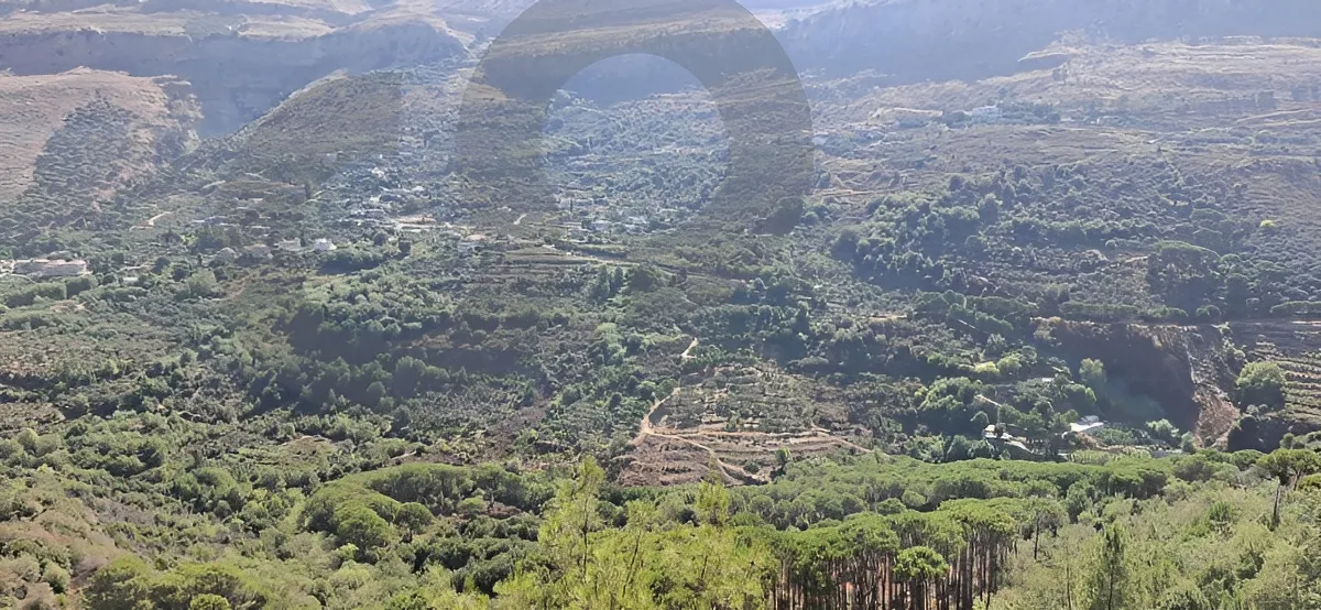 Land for Sale in Bkassine, Lebanon