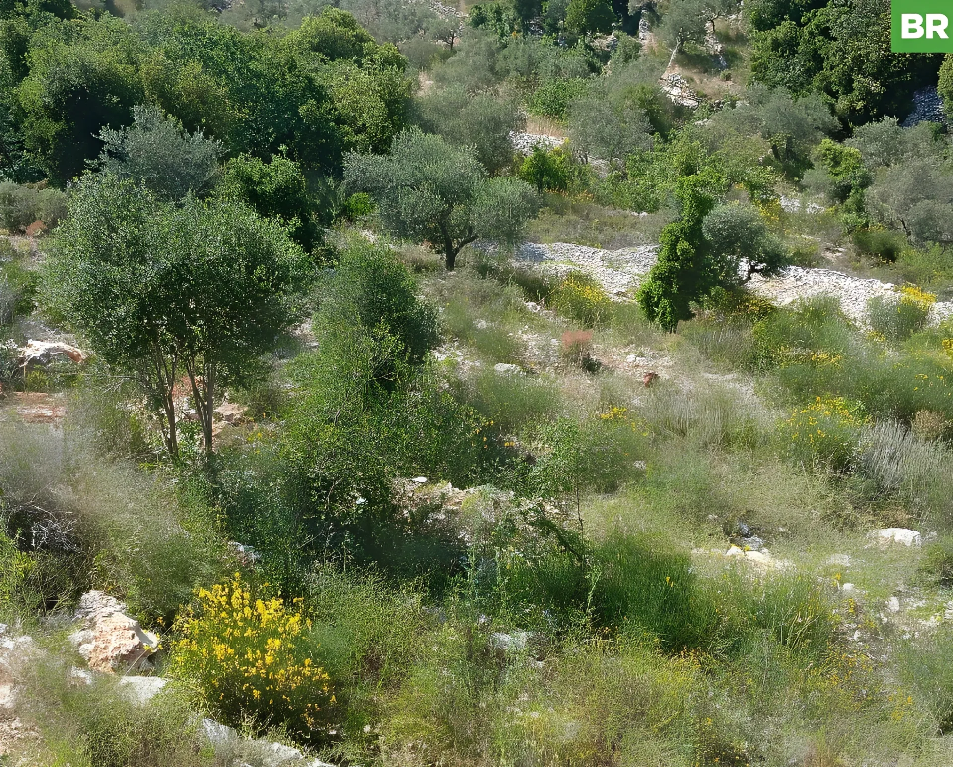 Land for Sale in Batroun