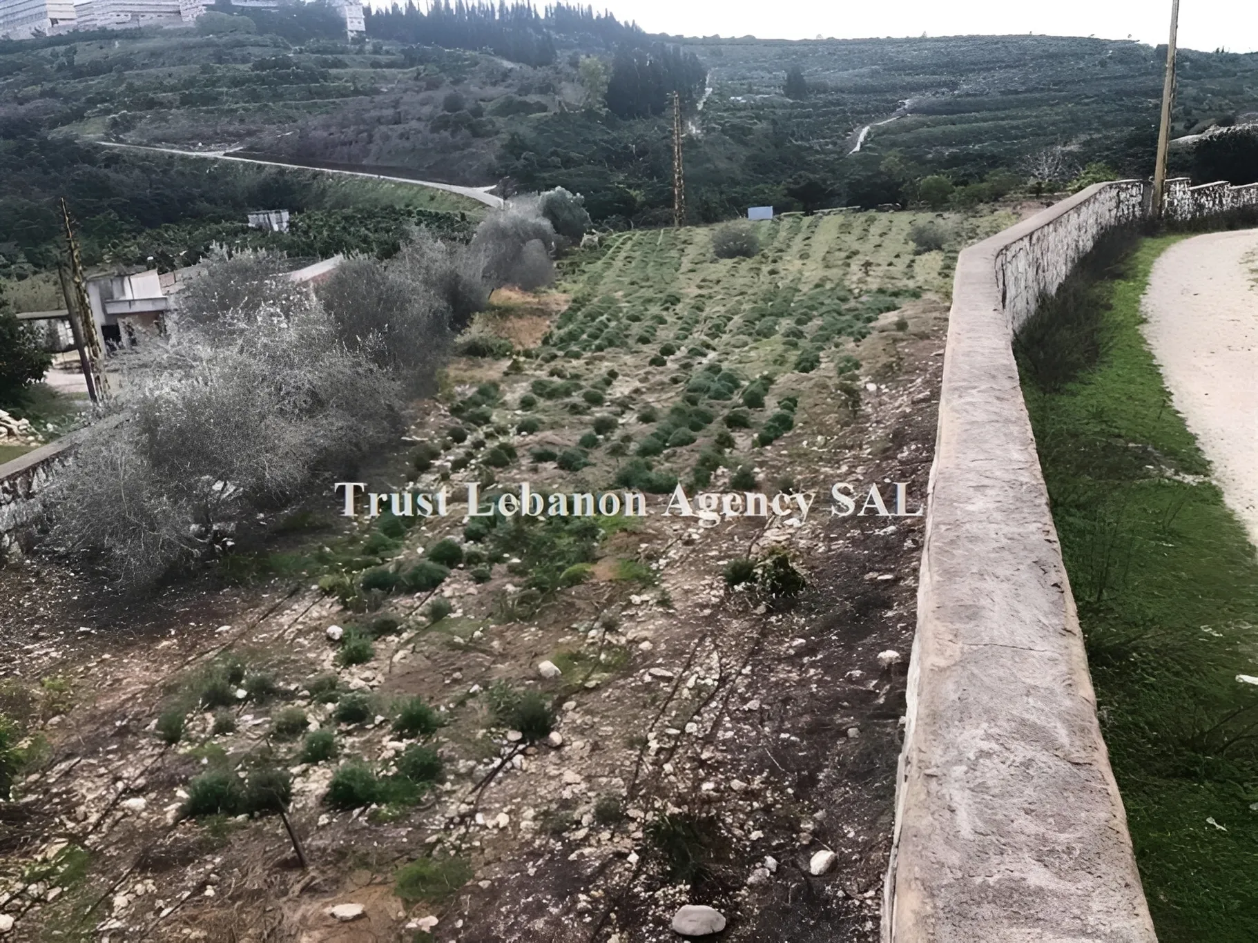 Land for Sale in Sidon