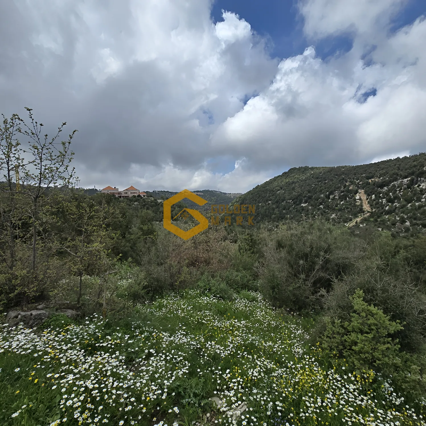 Land for Sale in Hjoula