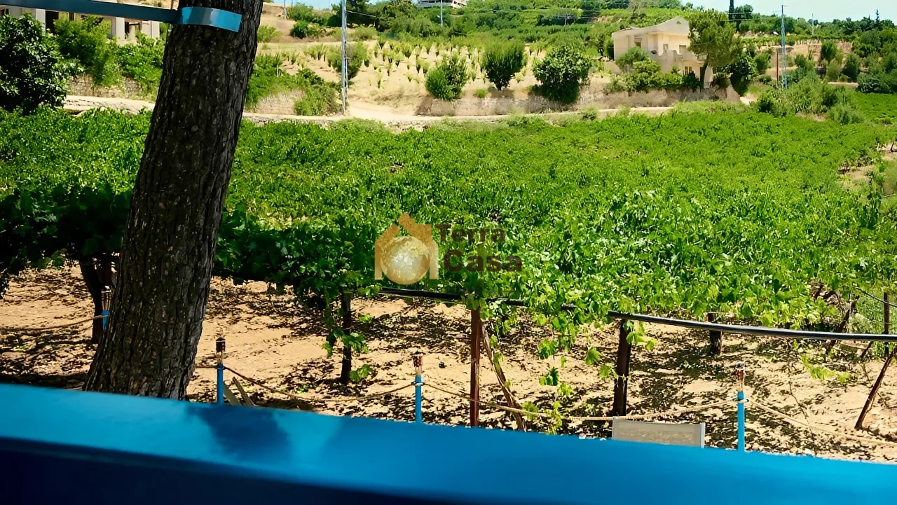 Land for Rent in Zahle