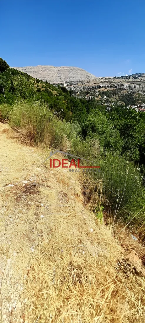 Residential Land for sale in Faraya, Lebanon