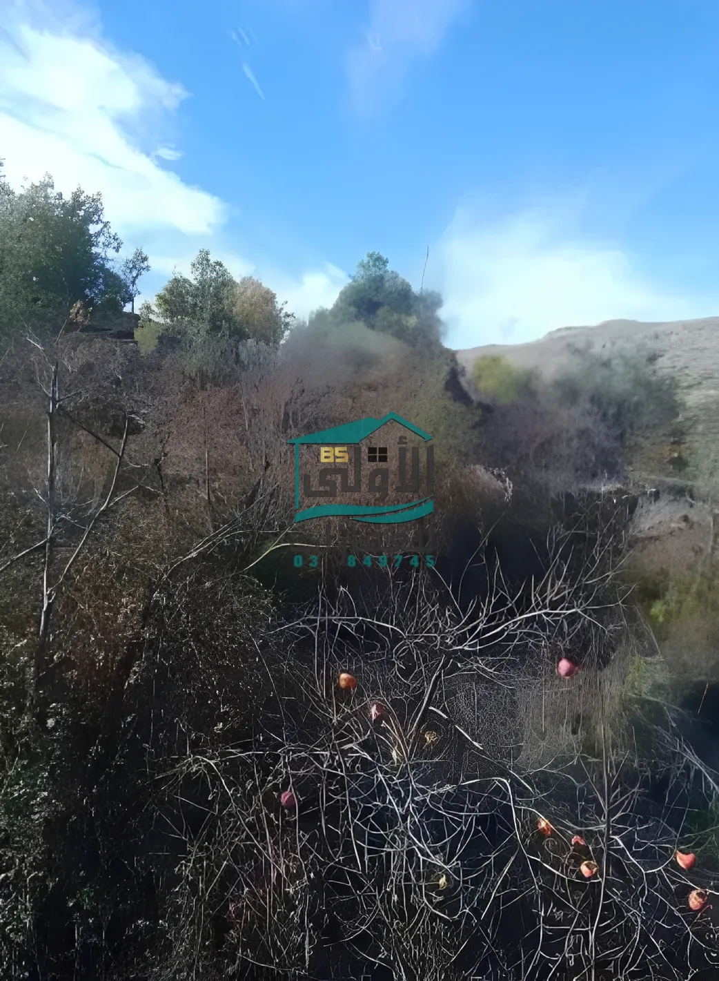 Land in نبع الصفا، lebanon