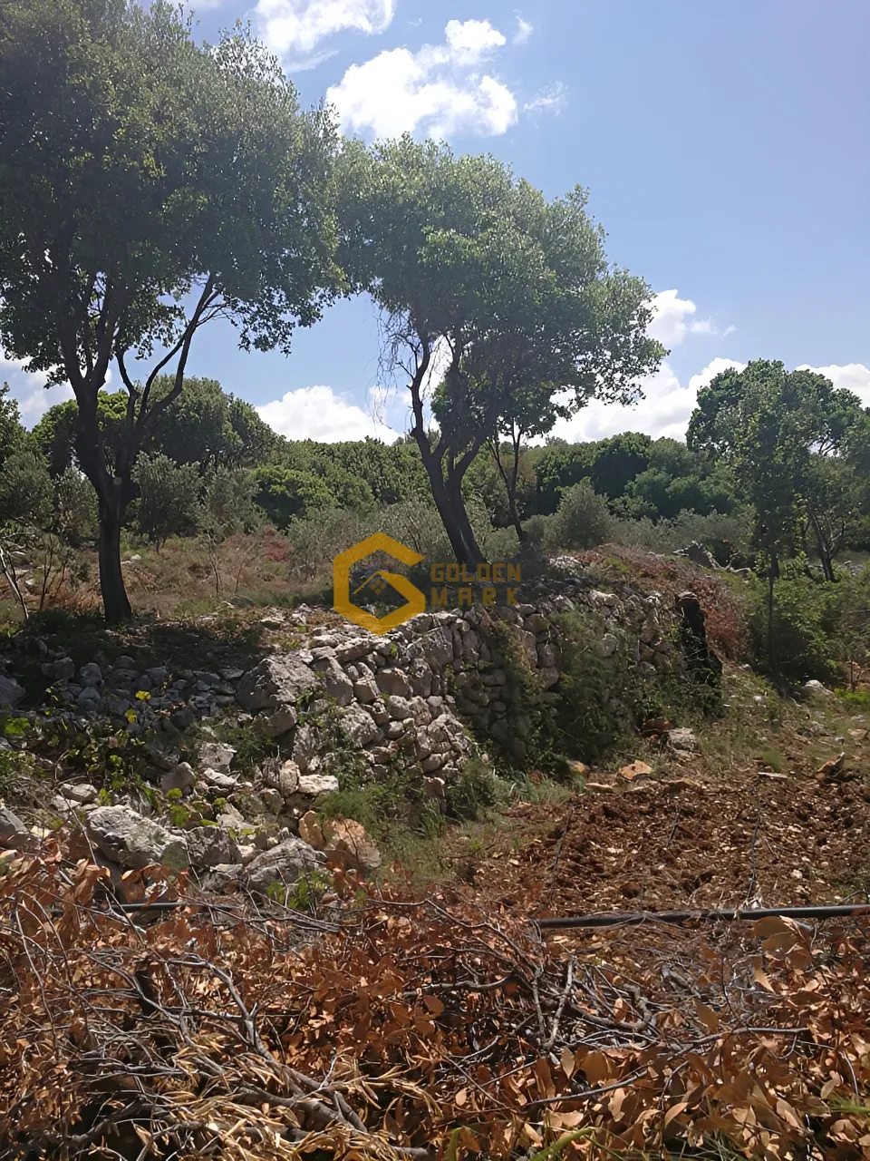 Land for Sale in Smar Jbeil