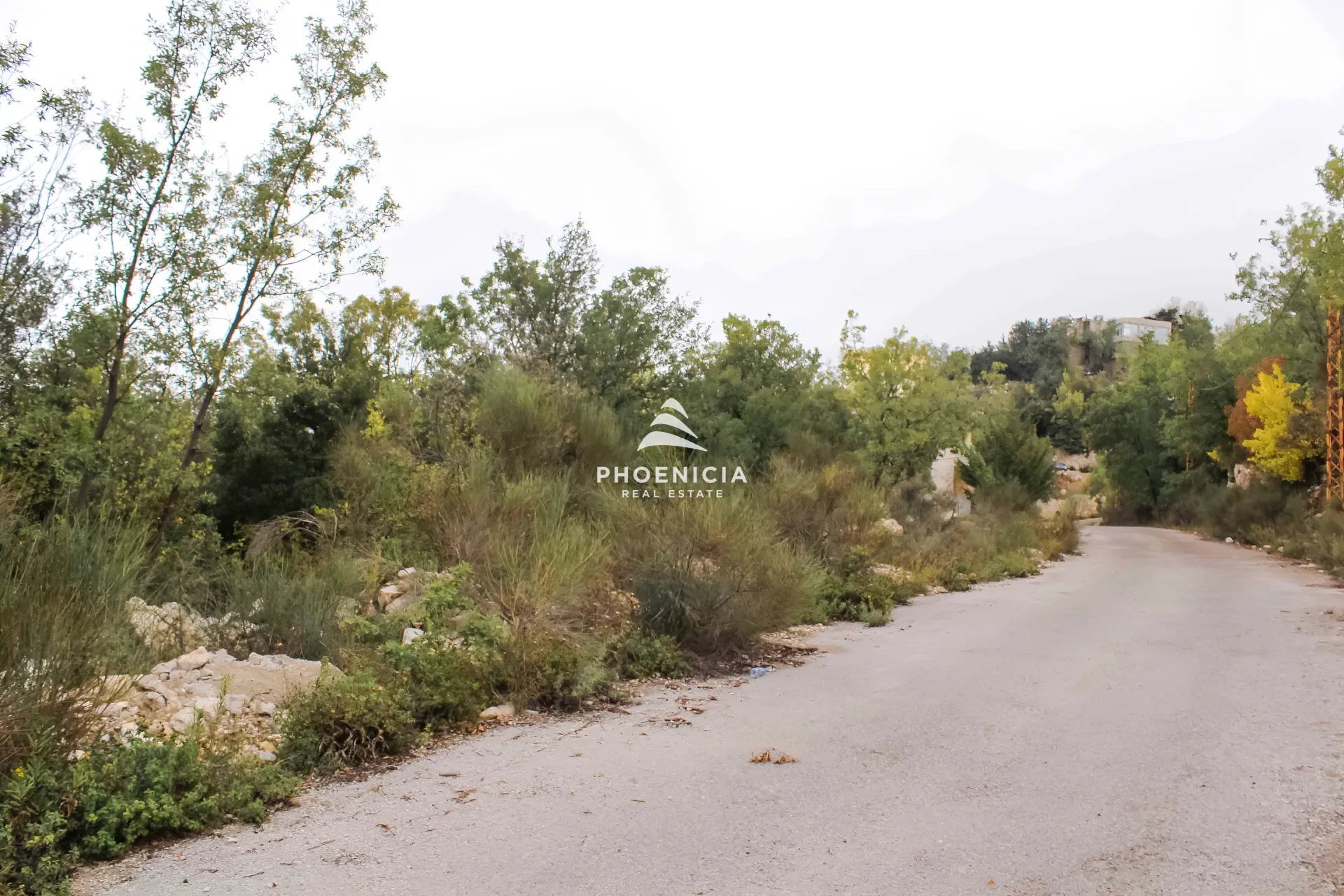 Land for Sale in Aannaya