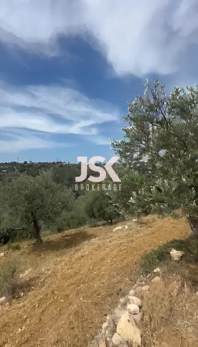 Land for Sale in Bsous, Lebanon