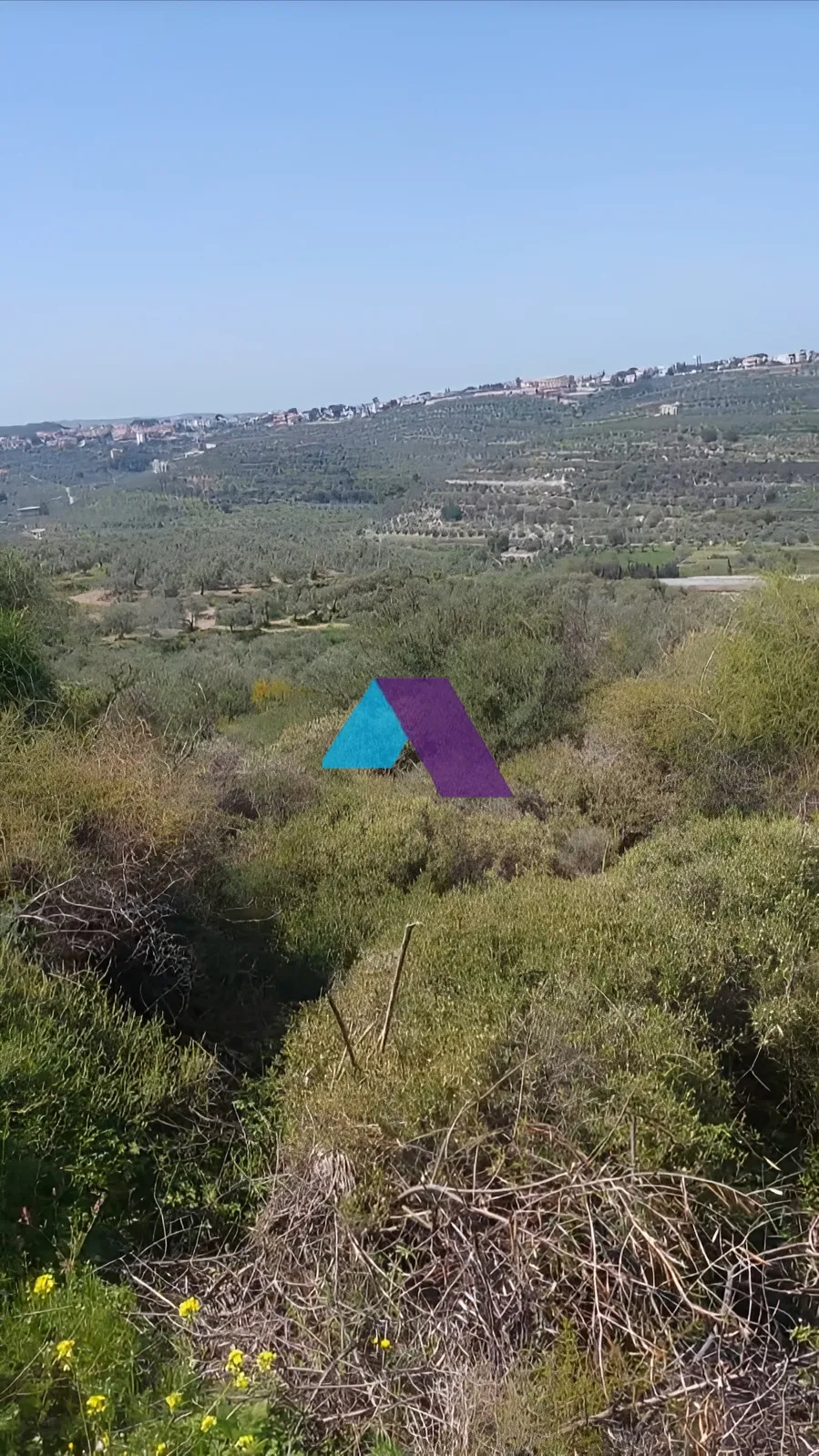 Land for Sale in Koura