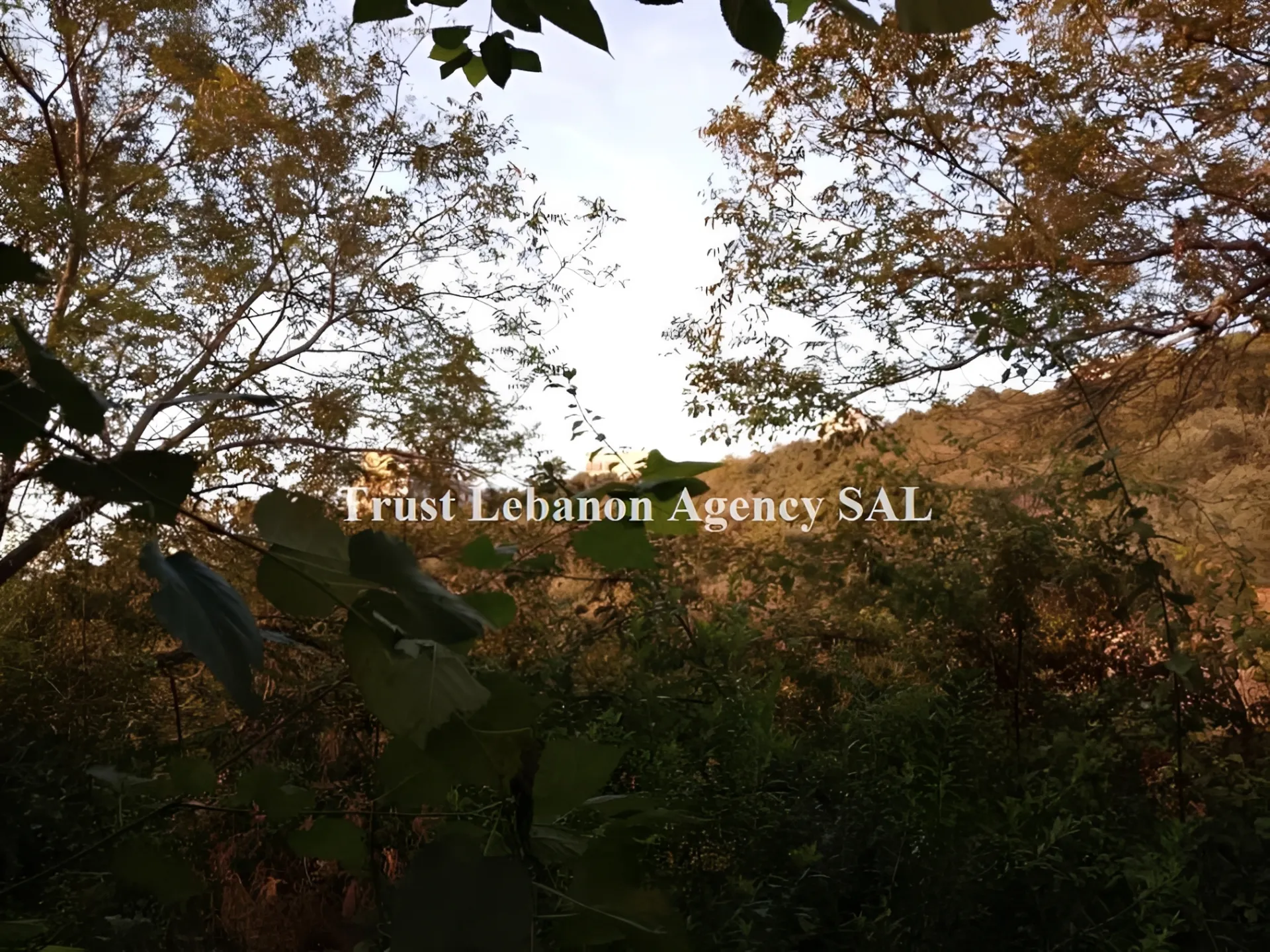 Land for Sale in Baabda Bleibel Lebanon