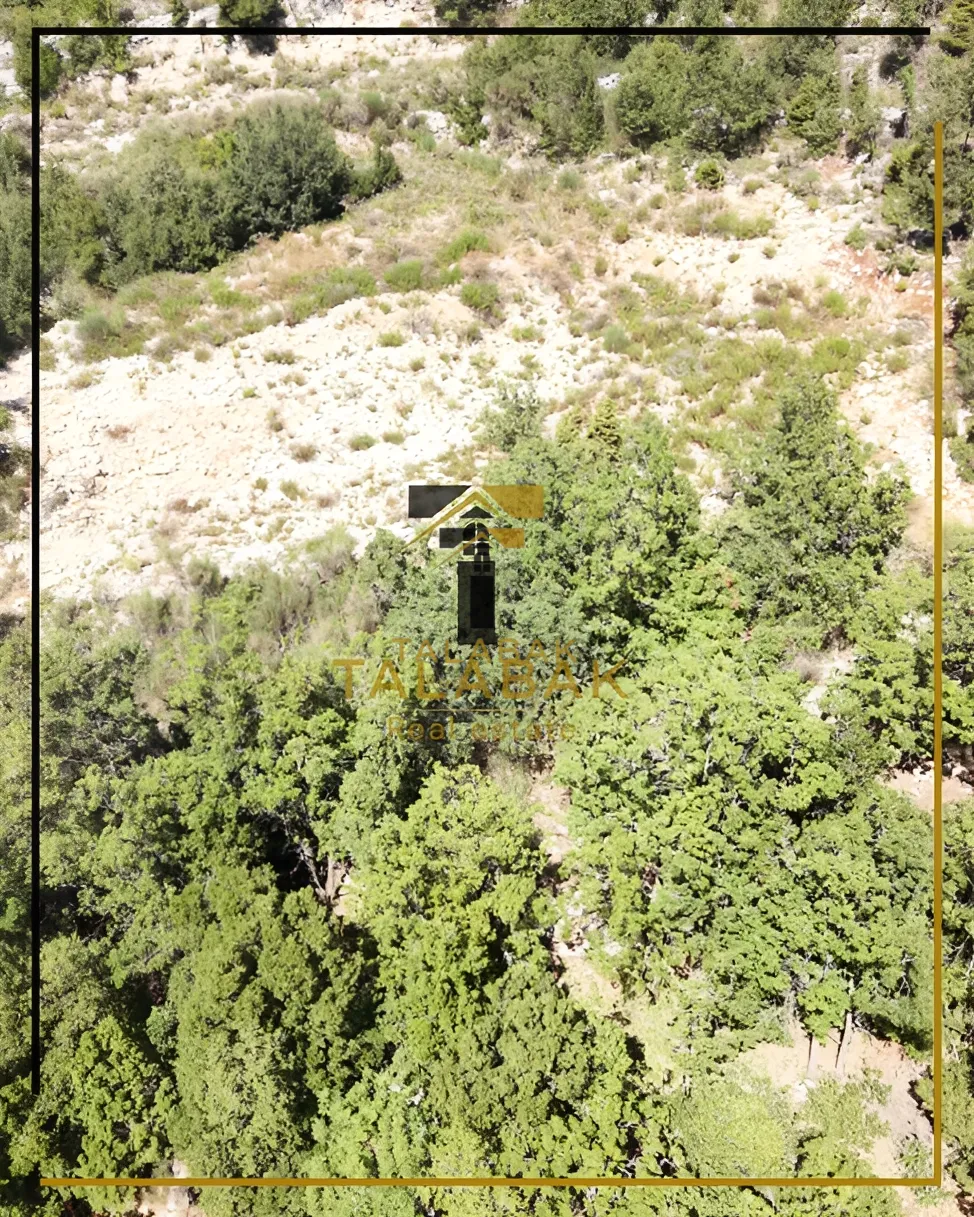 Residential Land for sale in Mechmech