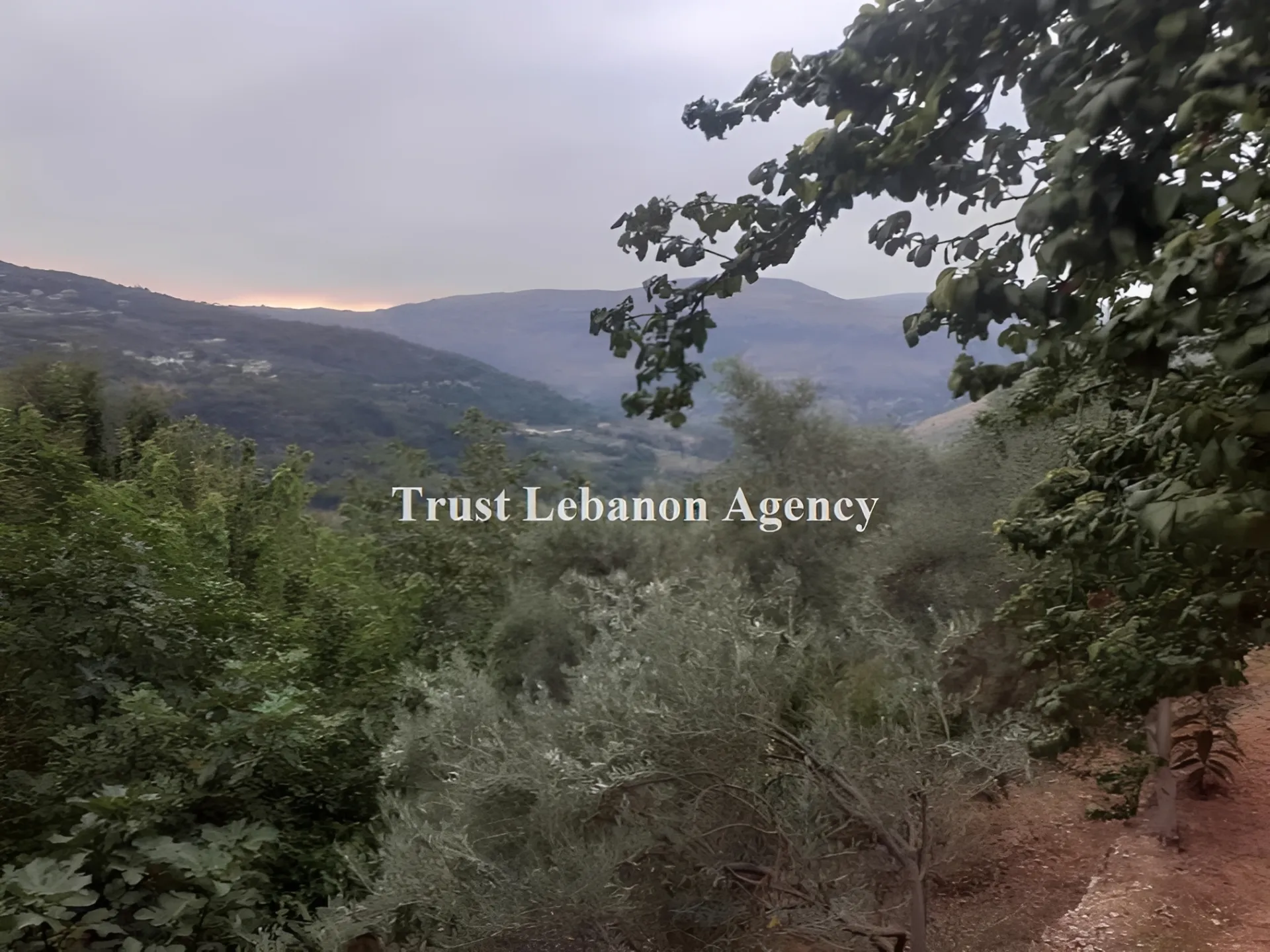 Land for Sale in Jezzine