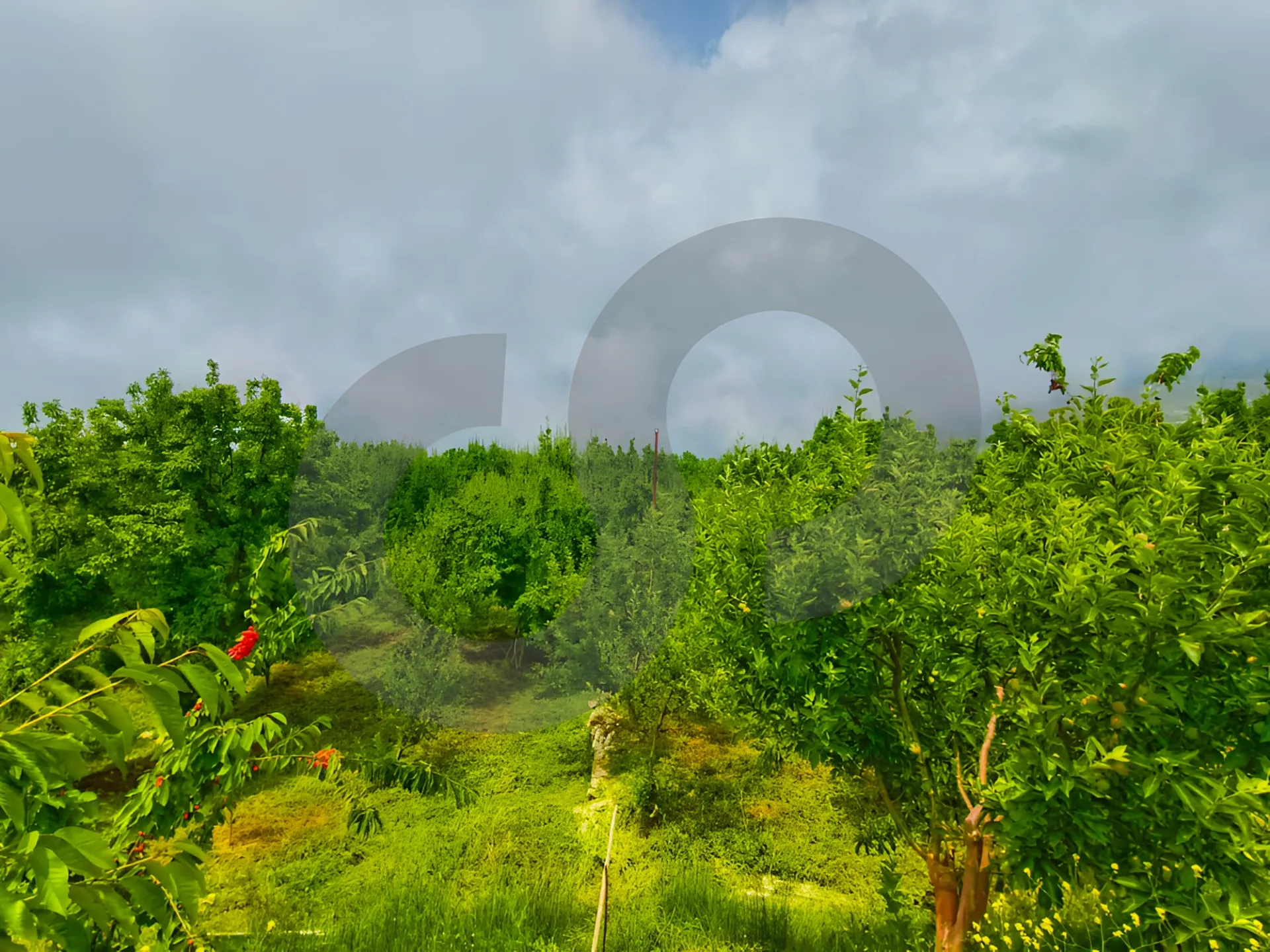 Land for Sale in Ehden