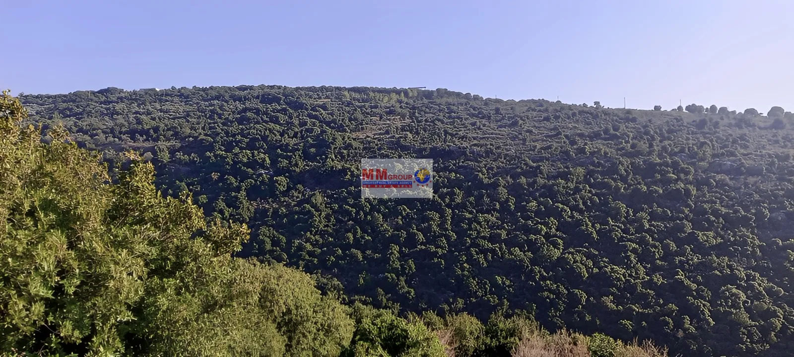 Land for Sale in Batroun