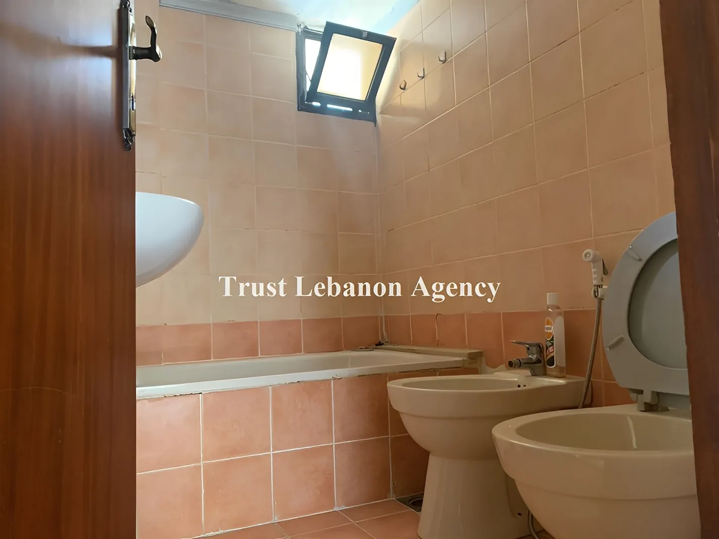 Apartment for Sale in Keserwan Ghedres Lebanon