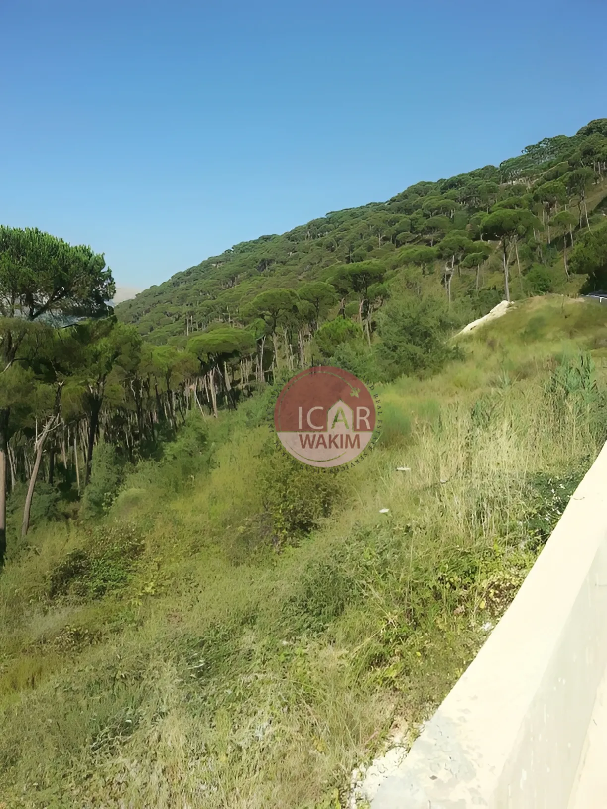Land for Sale in Salima