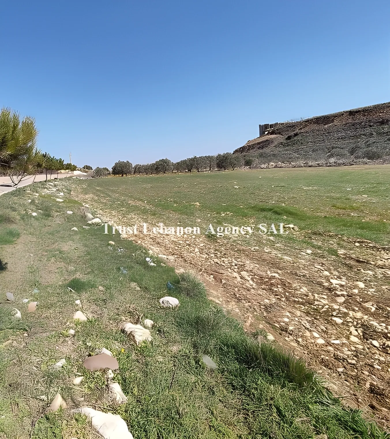 Land for Sale in Rashaya