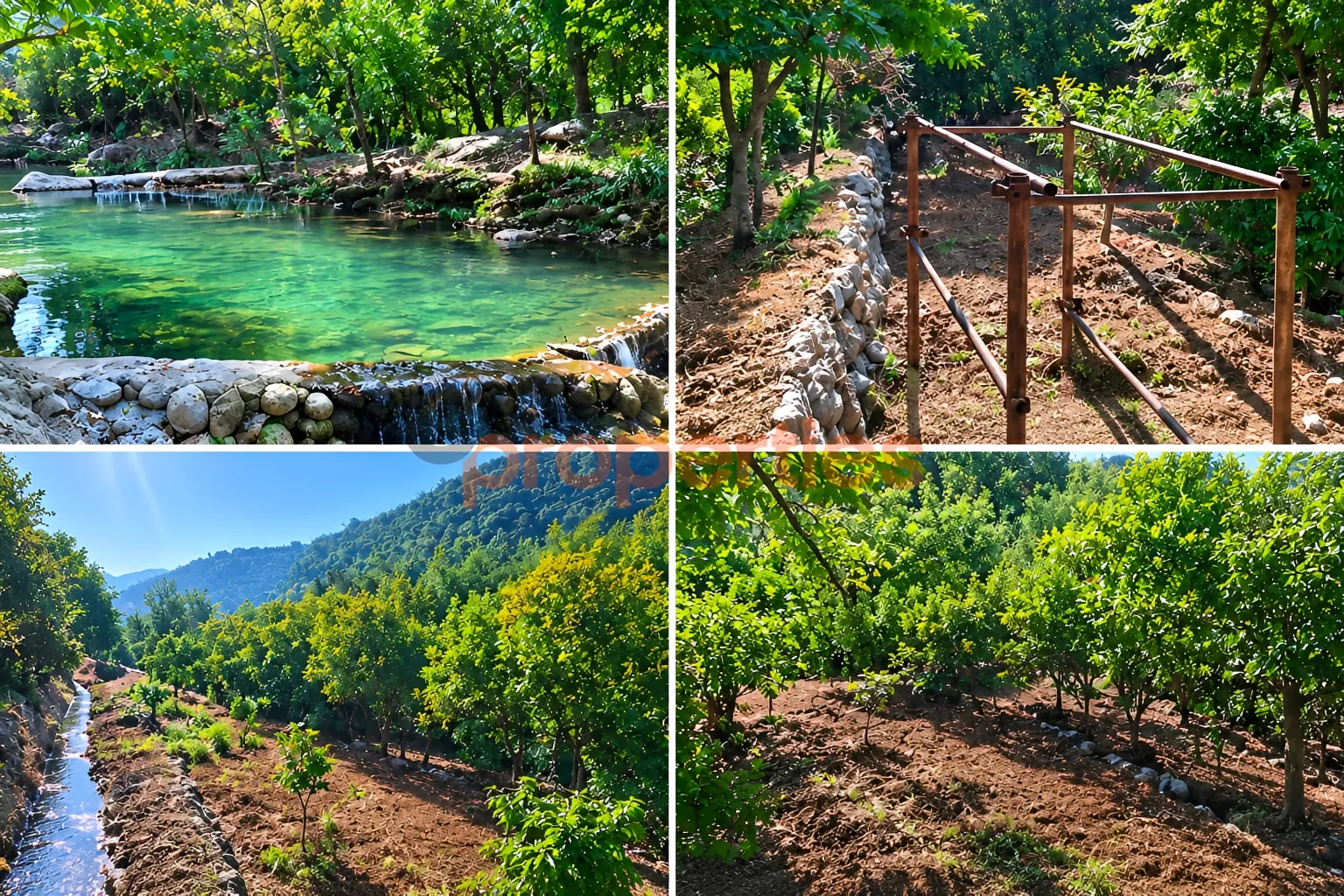 Residential Land for Sale in Silfaya