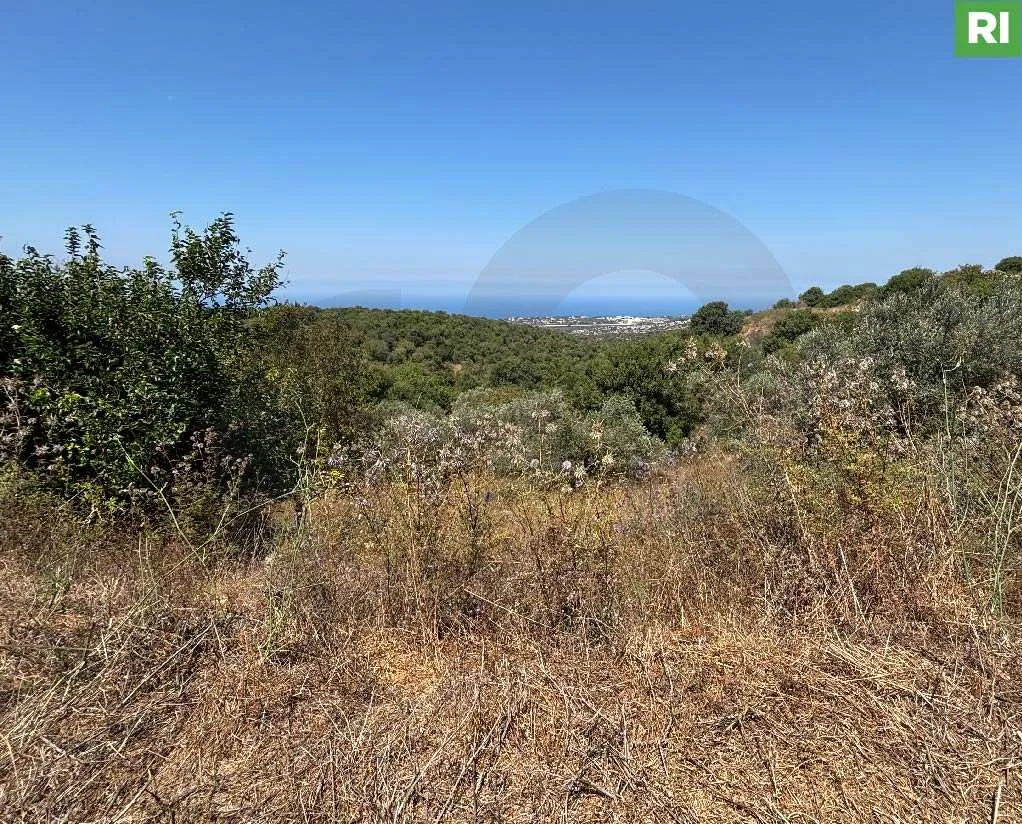 Land for Sale in Batroun