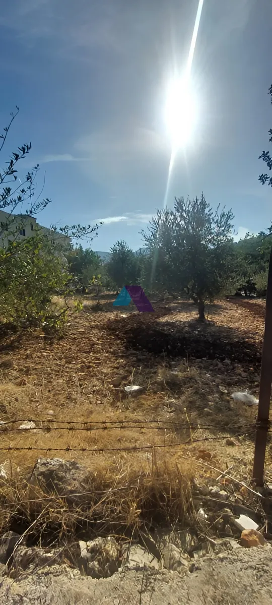 Land for Sale in Koura