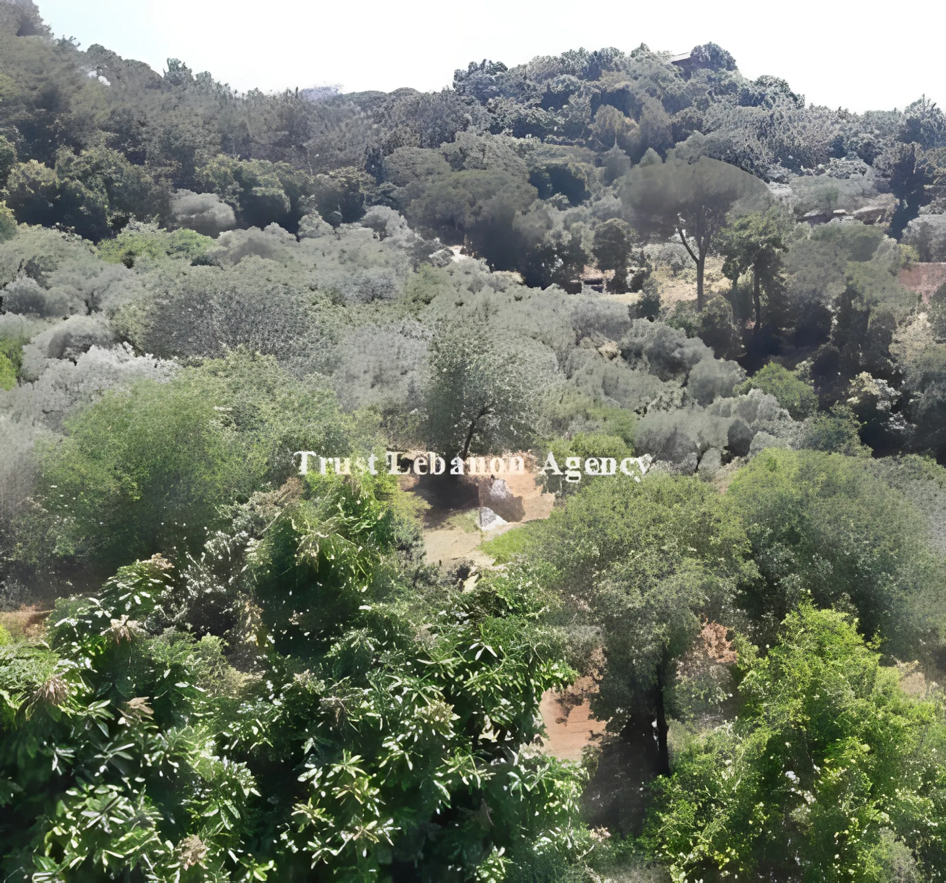 Land for Sale in Metn Roumieh Lebanon