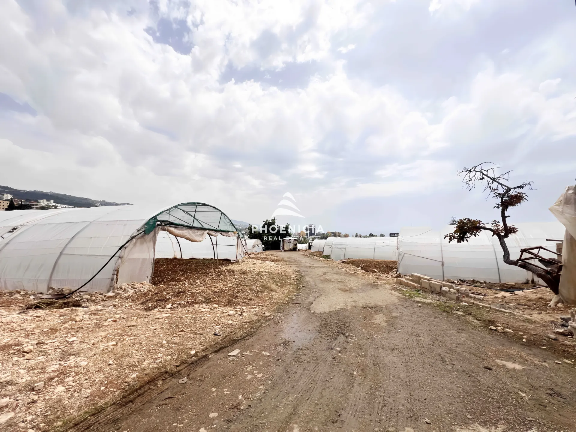 Land for Sale in Qartaboun