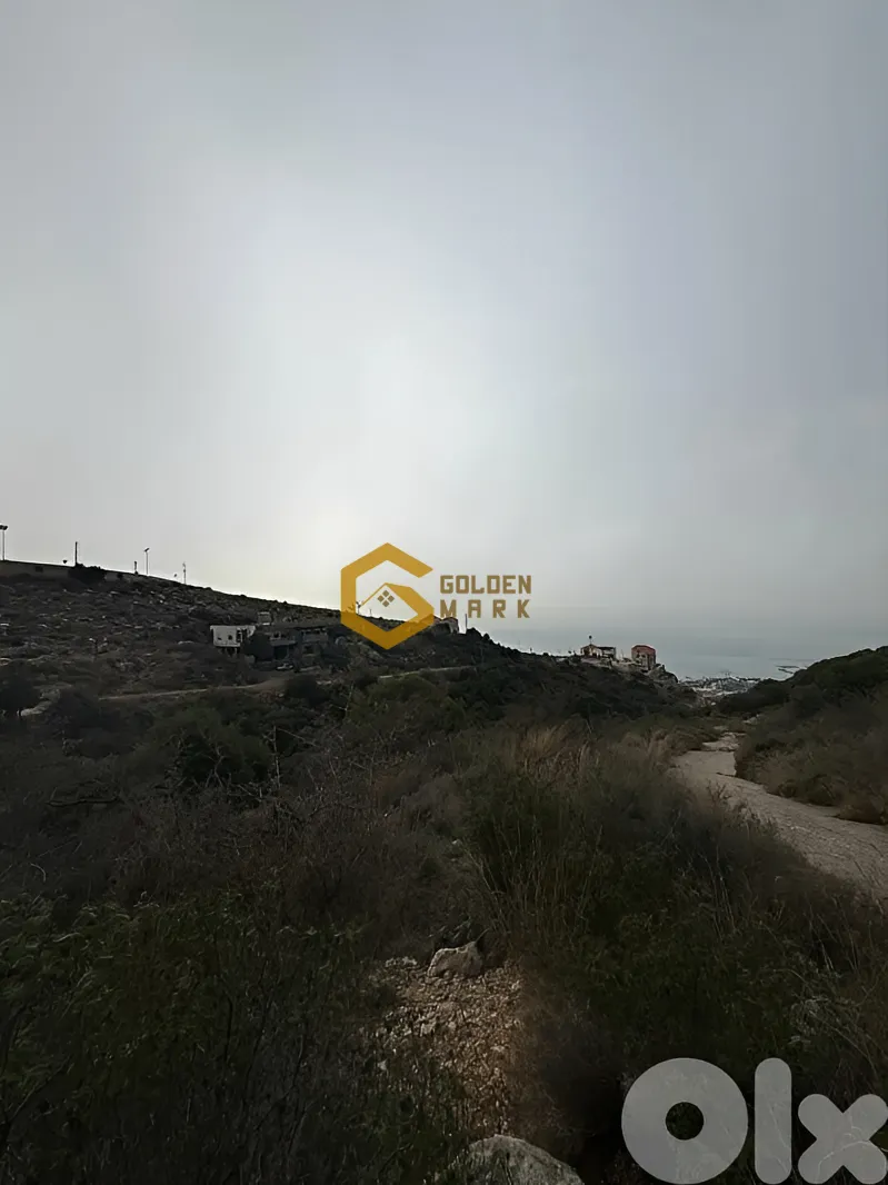 Land for Sale in Edde
