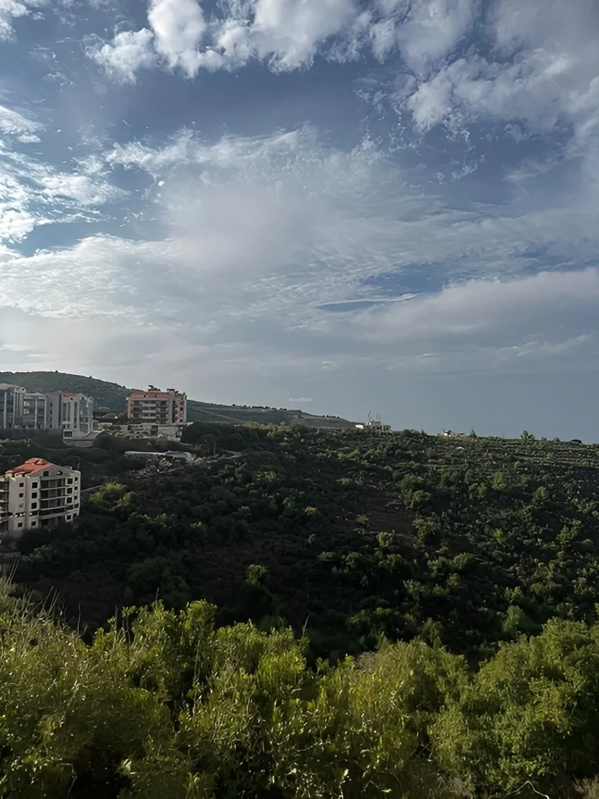 Land for Sale in Hboub, Lebanon