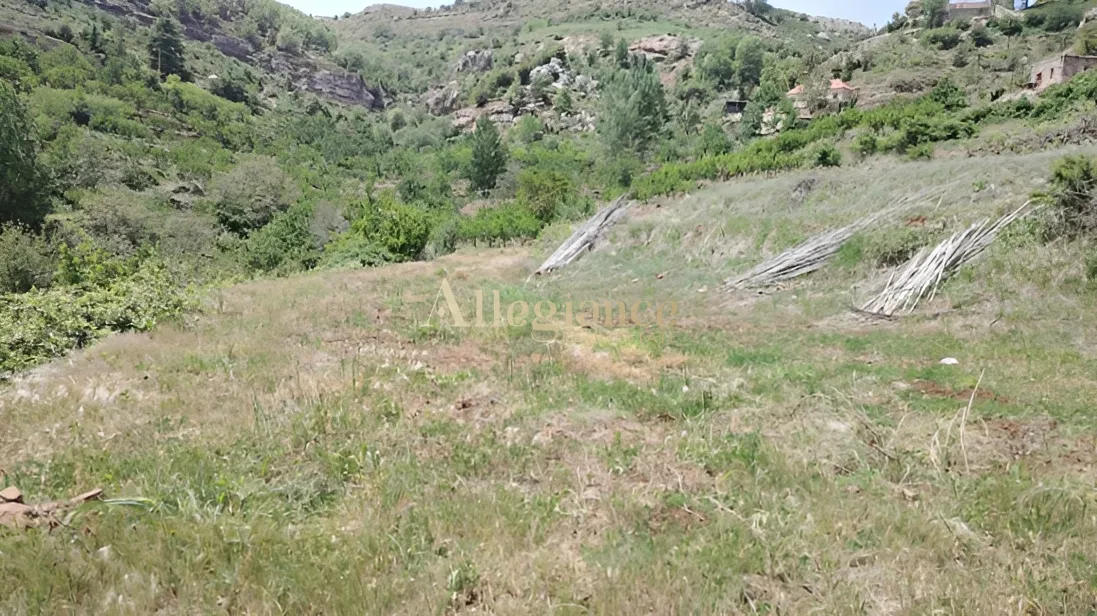 Residential Land for sale in Tannoura, Lebanon