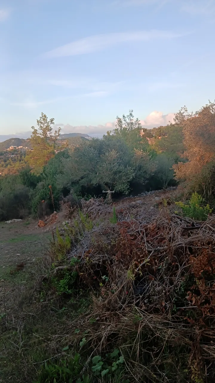 Residential Land for sale in Dibbieh