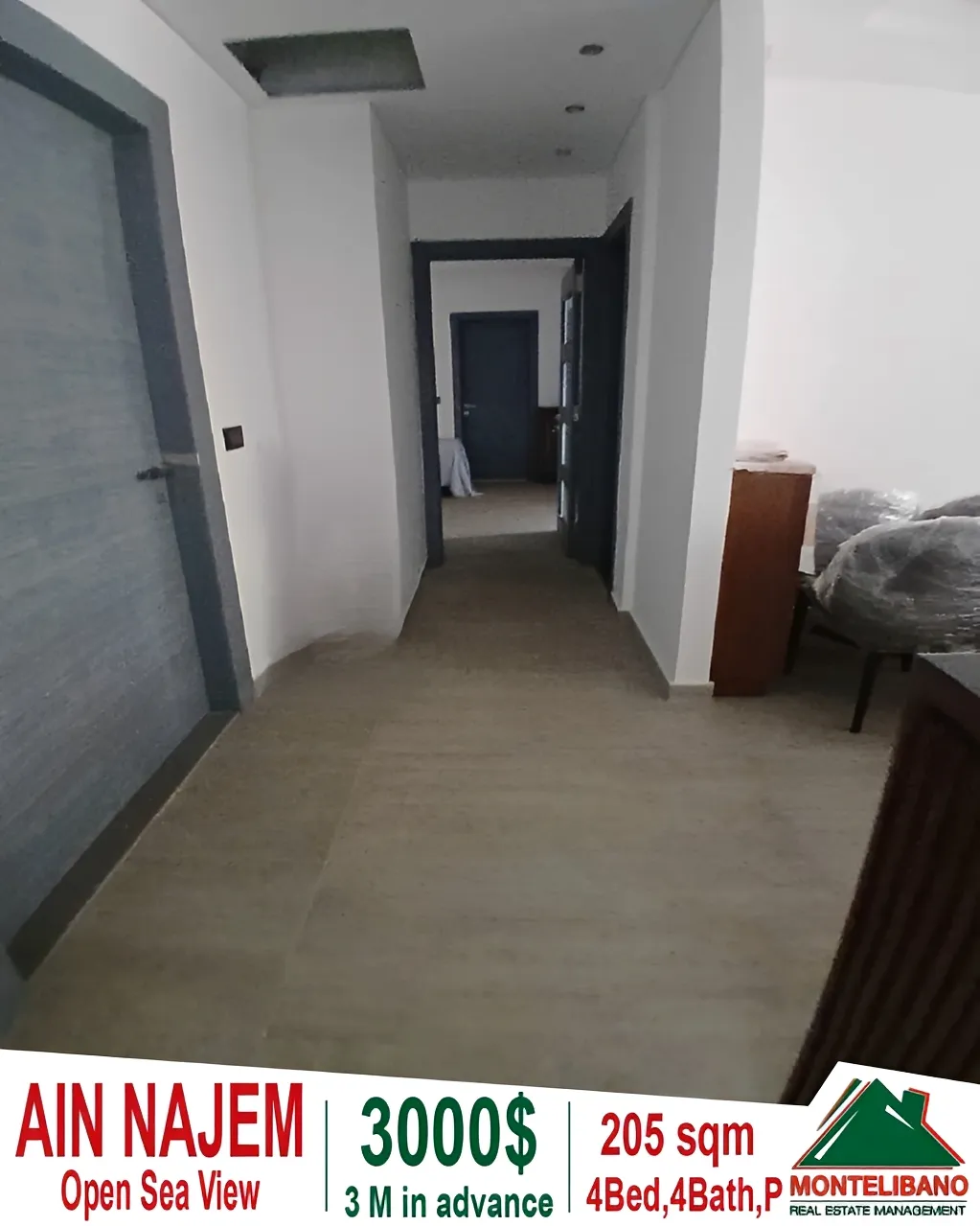 Apartment for rent in Ain Saadeh, Lebanon