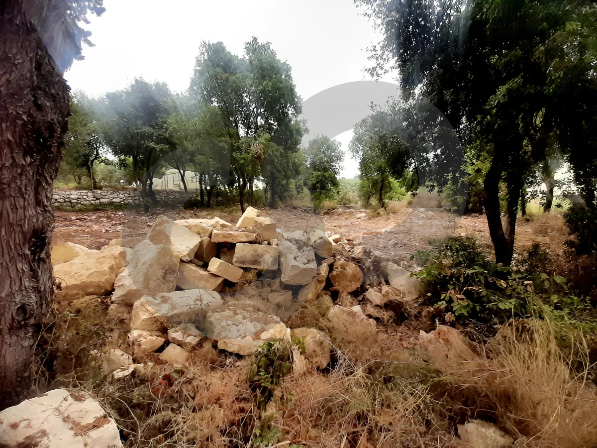 Land for Sale in Fatre, Lebanon
