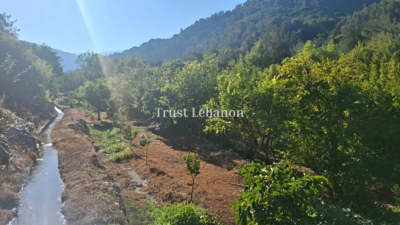 Residential Land for sale in Silfaya