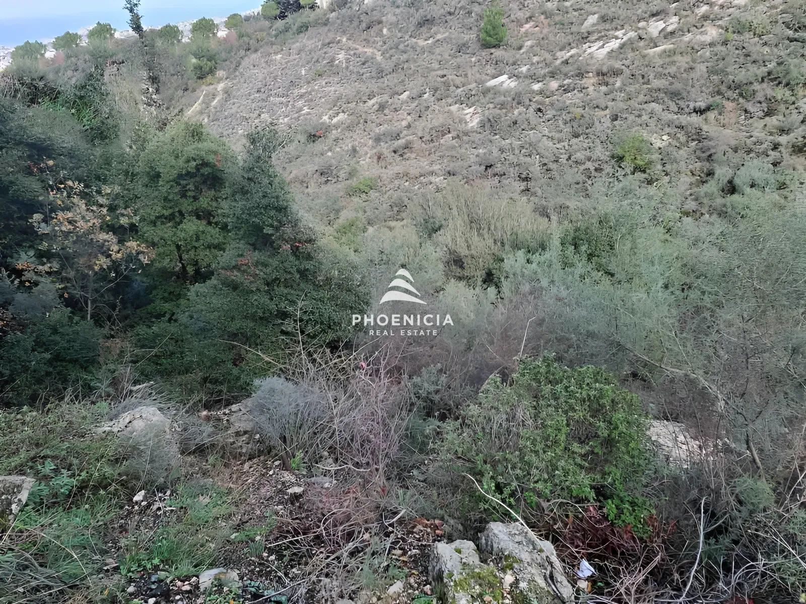 Land for Sale in Blat