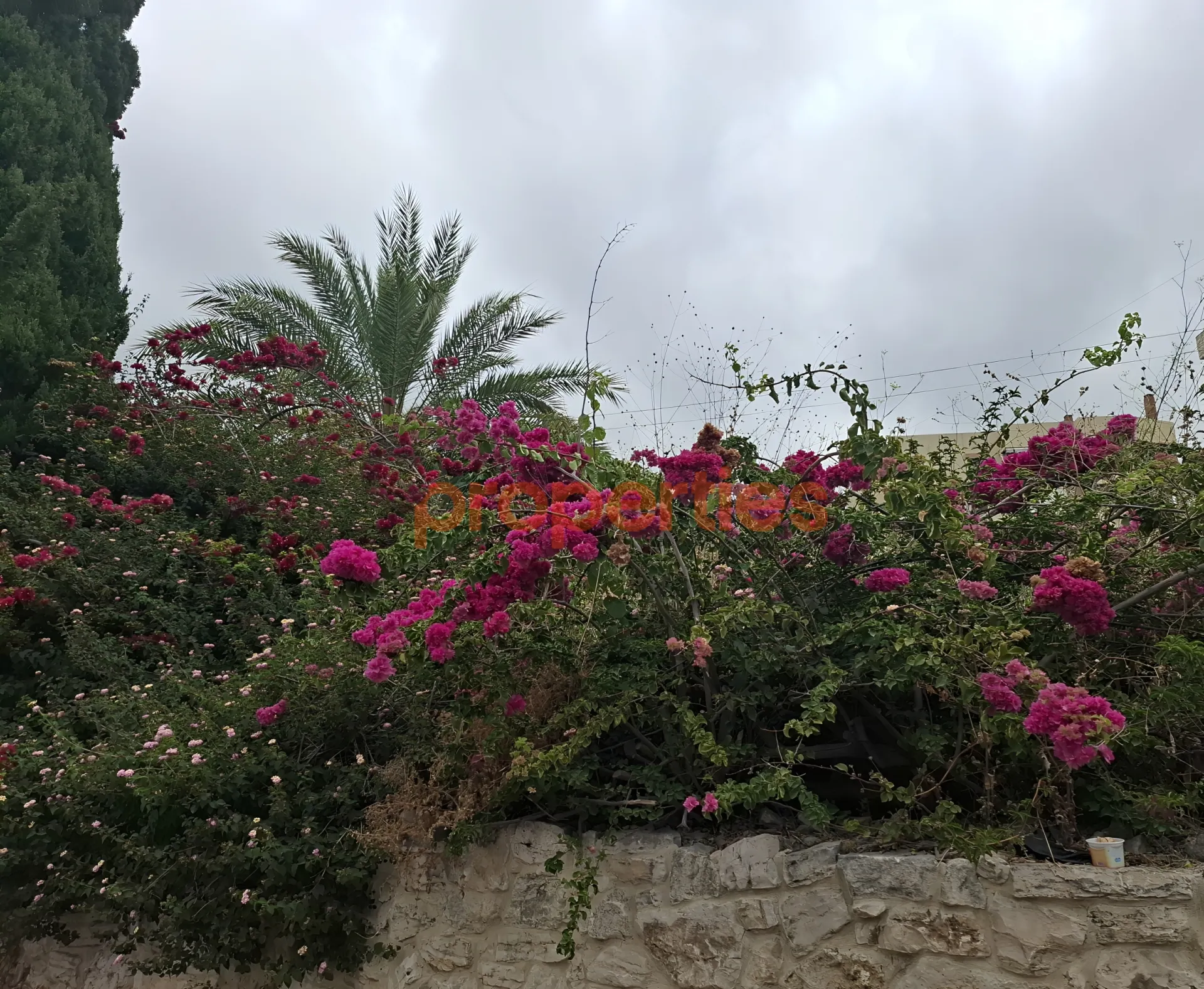 Residential Land for Sale in Byblos