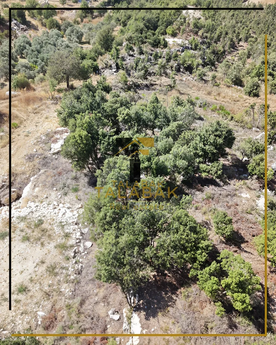 Residential Land for sale in Mechmech