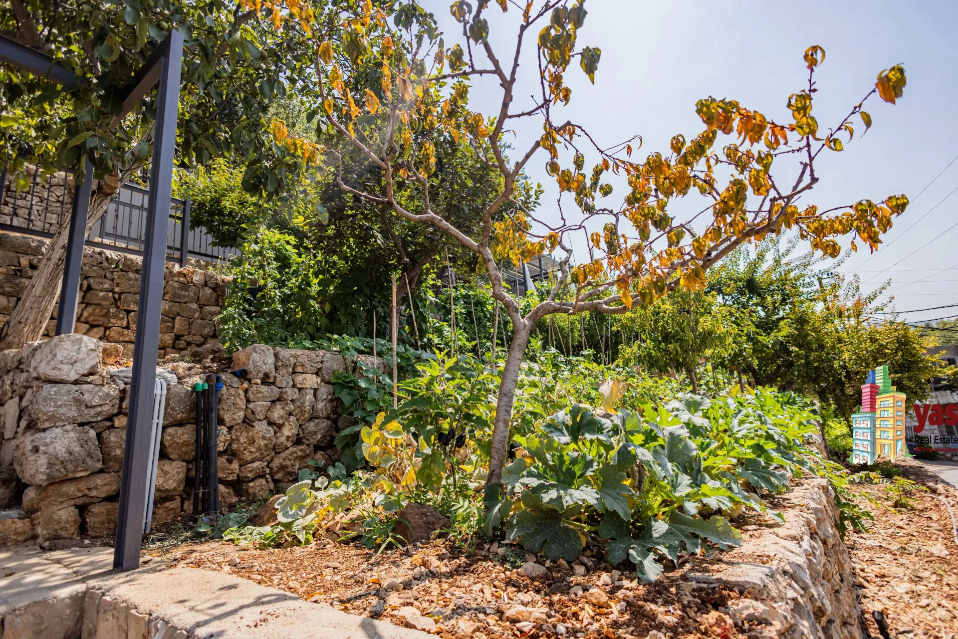 Villa for Sale in Ashqout