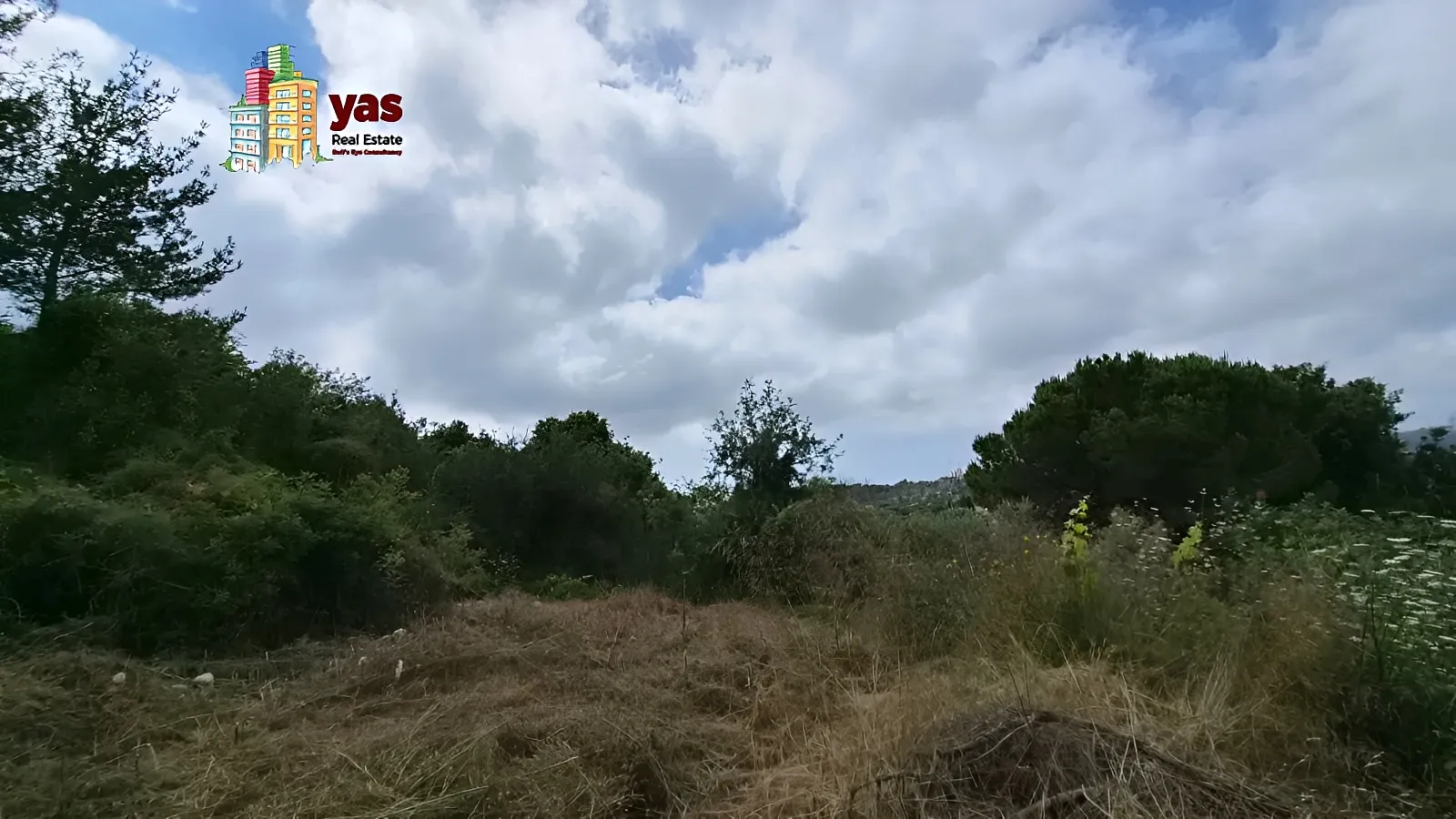 Land for Sale in Batroun