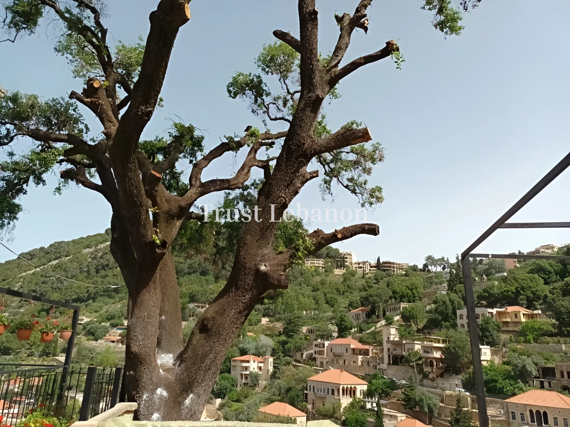 House for rent in Delbta