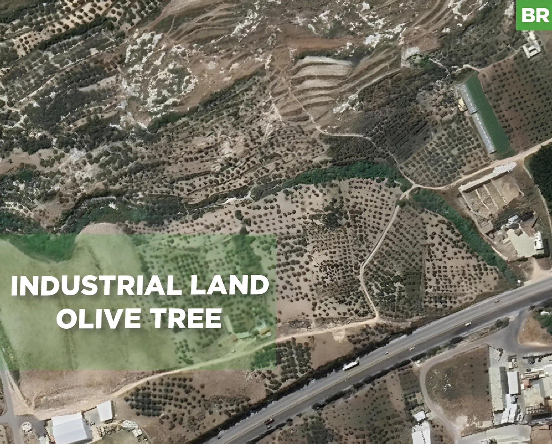 Land for Sale in Anfeh