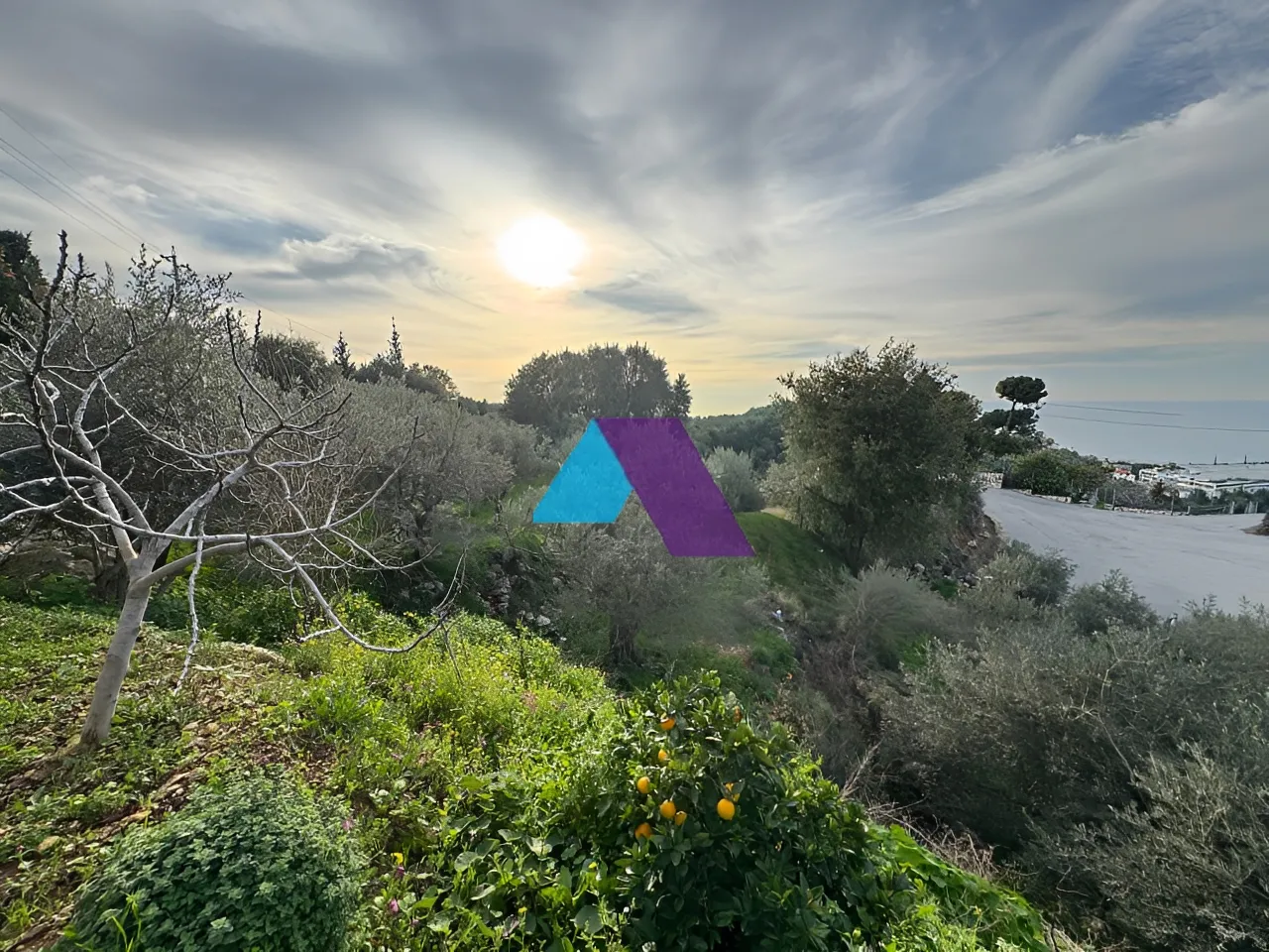 Land for Sale in Aamchit
