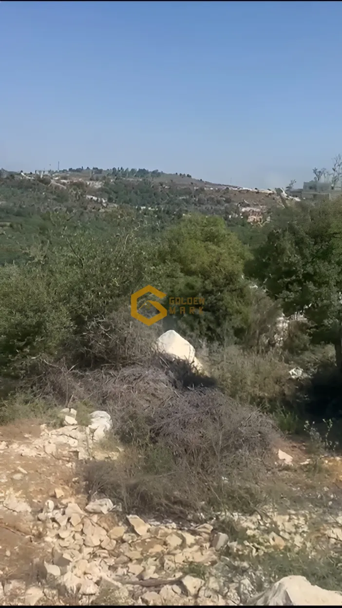 Land for Sale in Mechmech