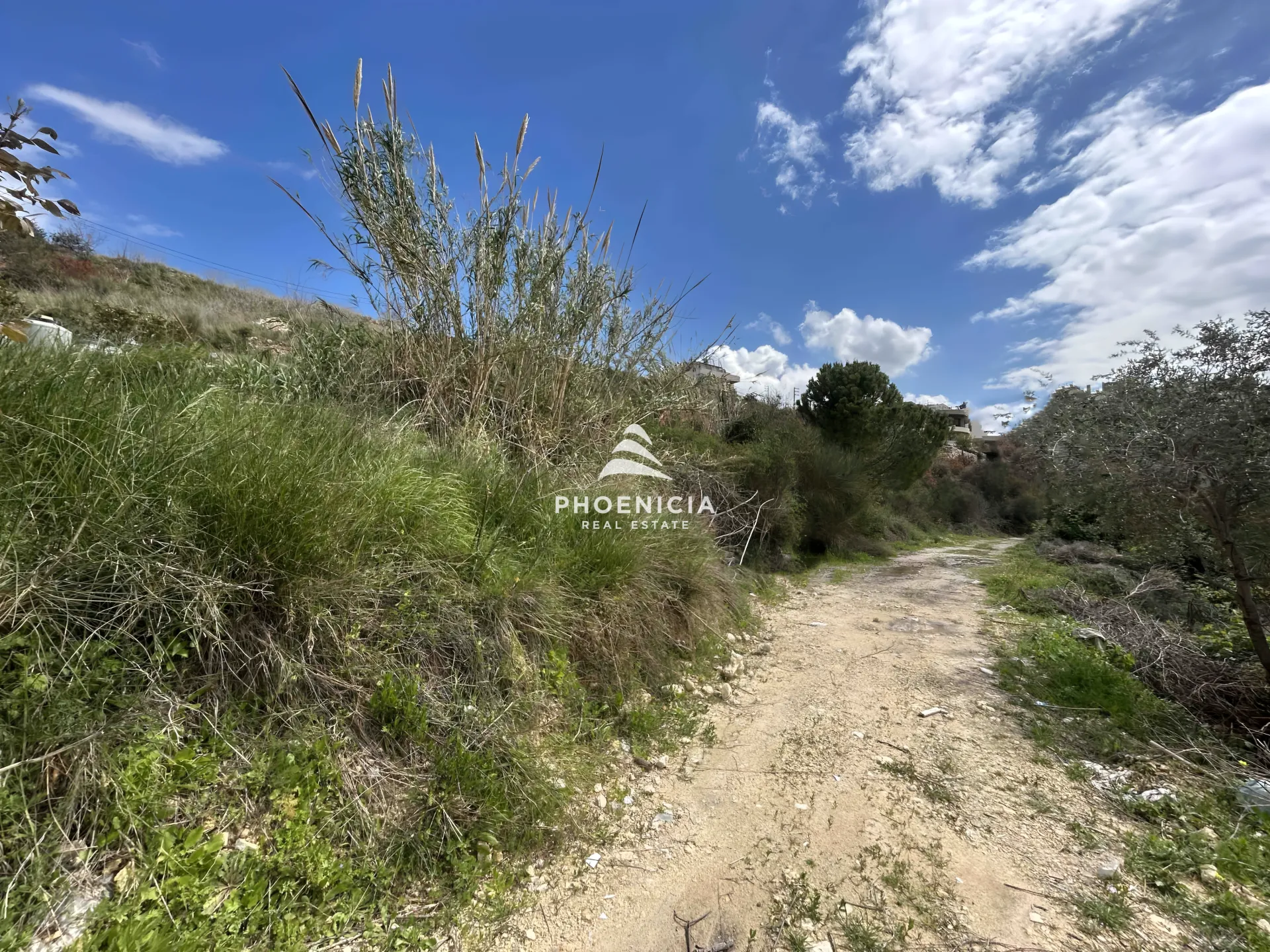 Land for Sale in Habboub
