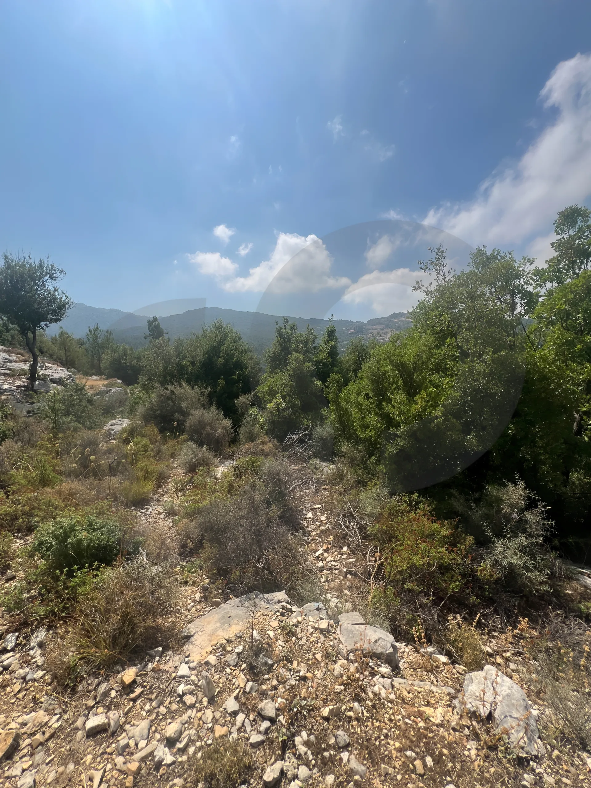 Land for Sale in Byblos