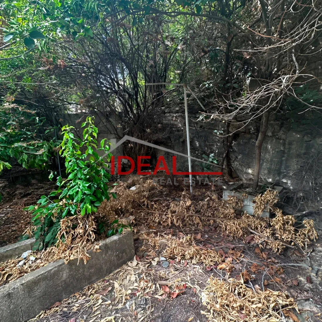 House for sale in Gharifeh