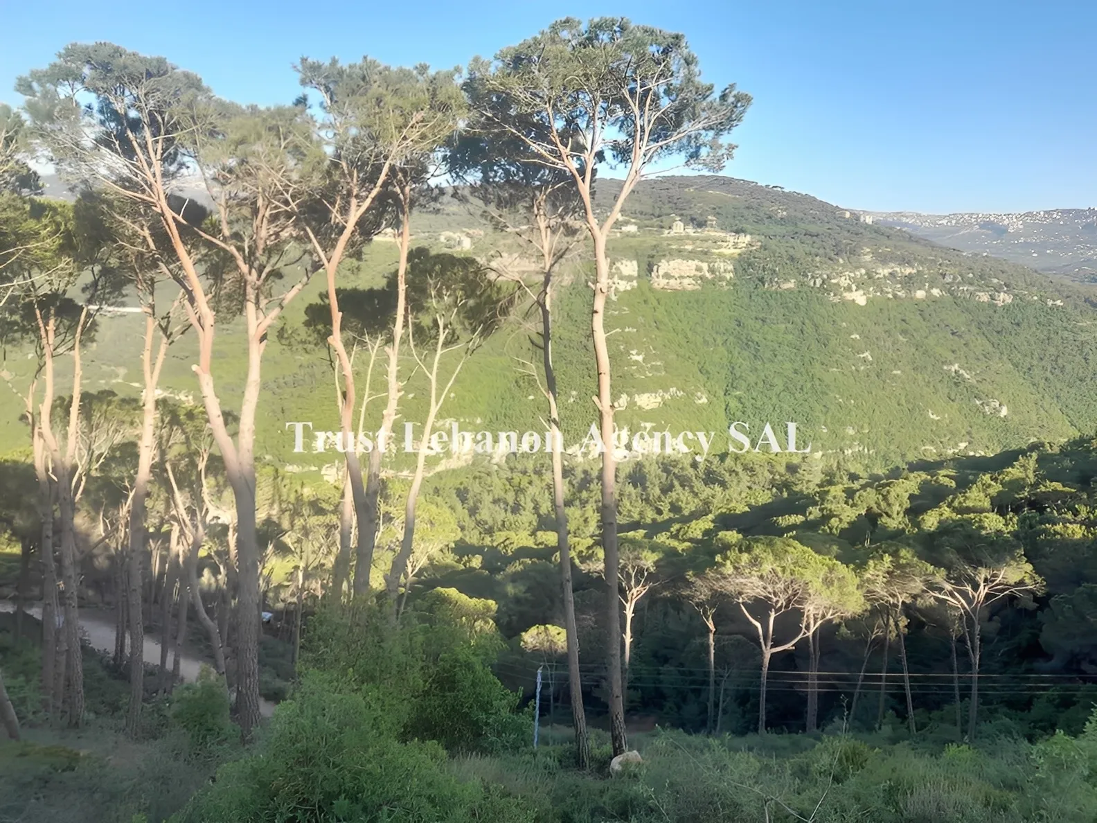 Land for Sale in Metn Beit Mery Lebanon