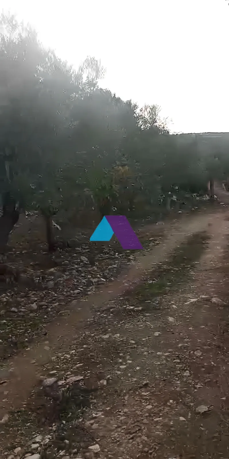 Land for Sale in Koura