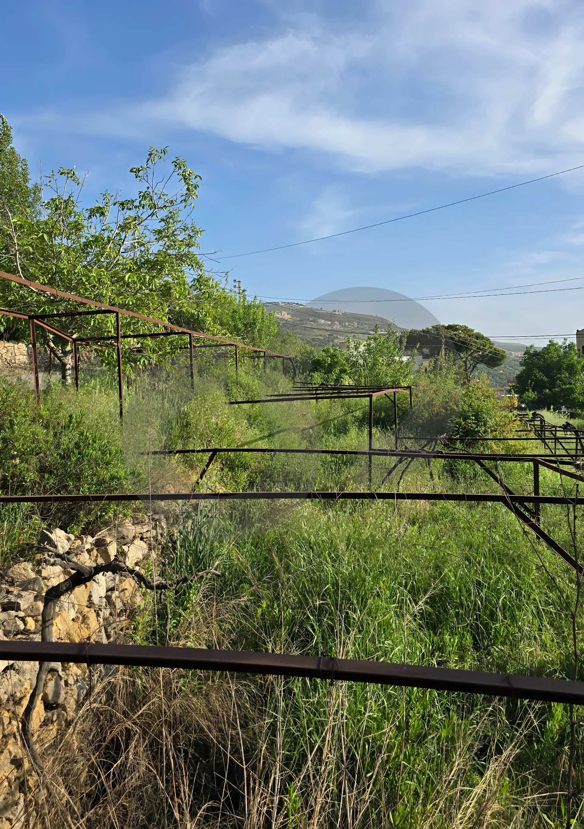 Land for Sale in Aley