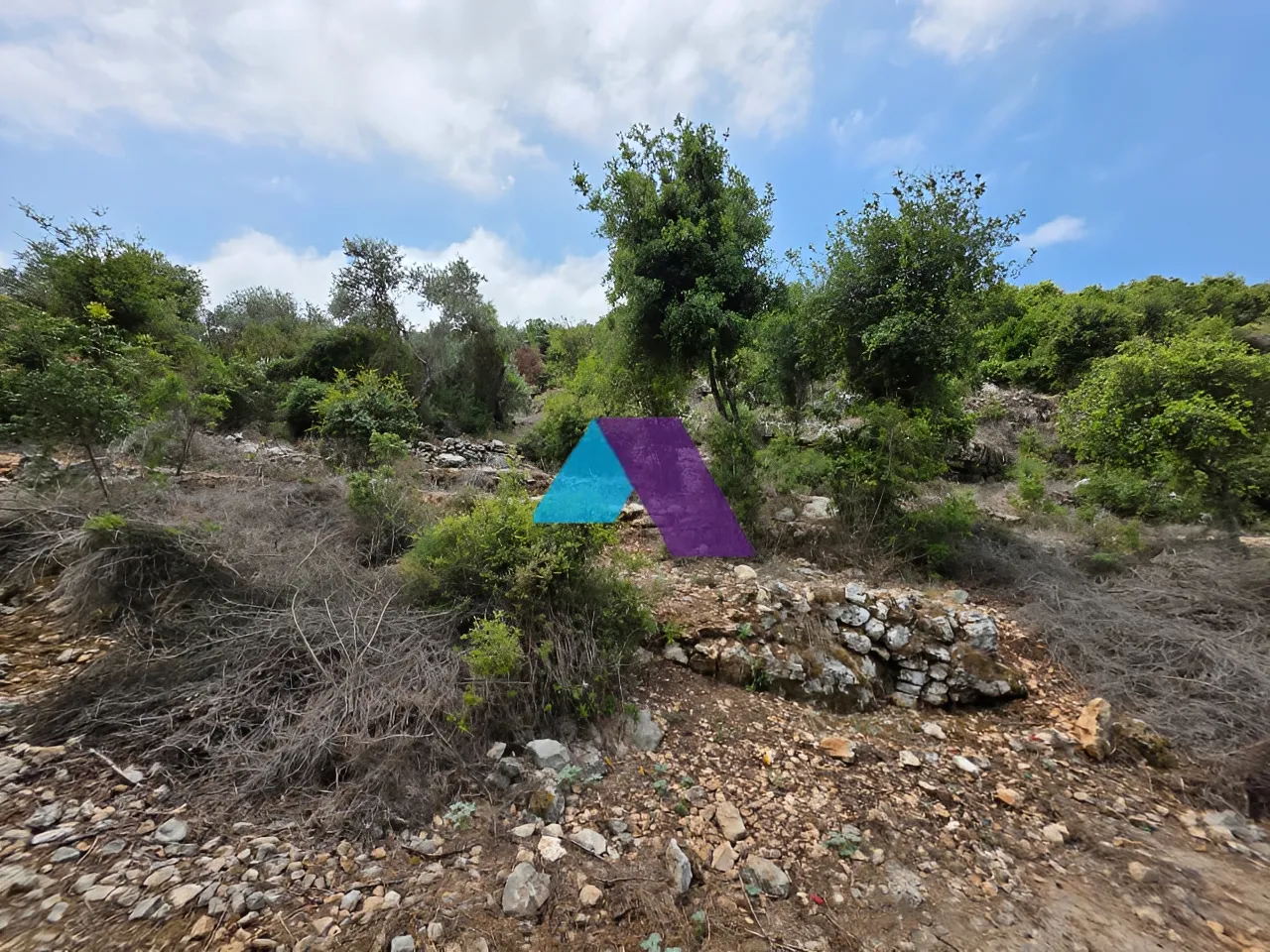 Land for Sale in Batroun